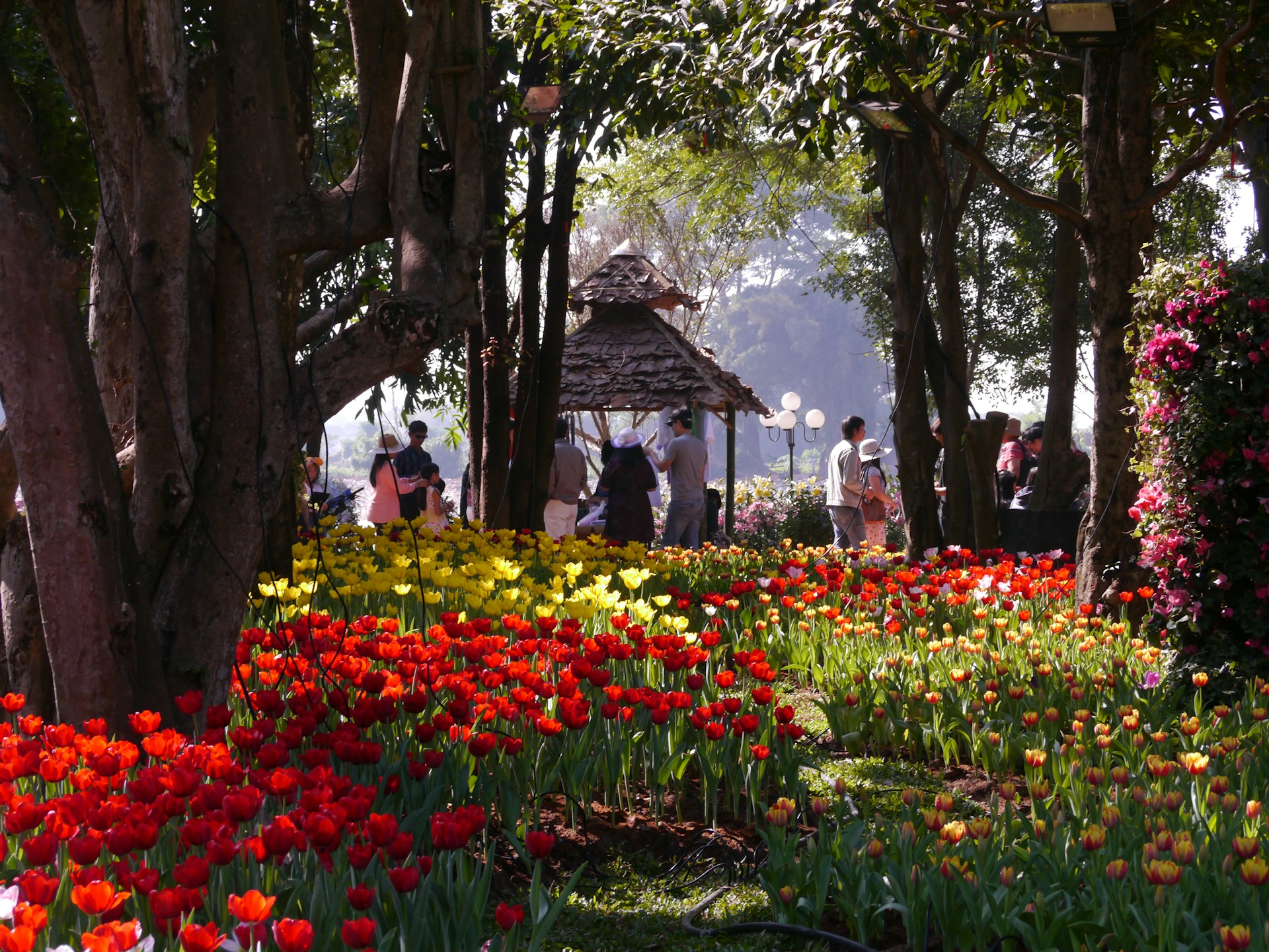 Feira de Primavera celebra tradição, gastronomia e artesanato local
