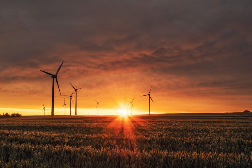 Novo Investimento Garante Avanço Em Projeto De Requalificação Ambiental