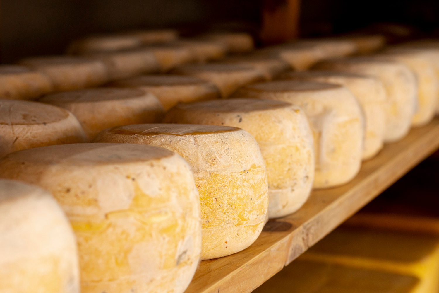 feira-queijo2